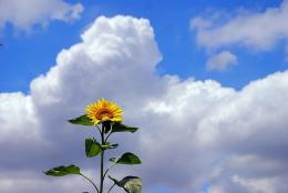 �ċG�x�Ƃ̂��m�点